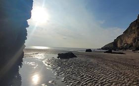 319 Unity Beach Holiday Resort Unity Brean 6 Birth 2 Pets Stay Free Passes Not Included No Workers Sorry